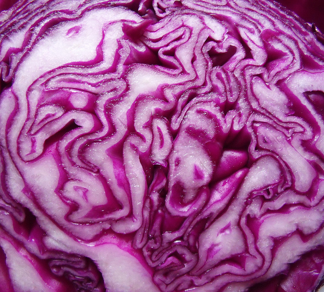 Cabbage