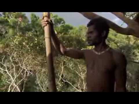 [VIDEO] The Sweet Nature of the Korowai Tribe and the Amazing Place They Build Their Homes