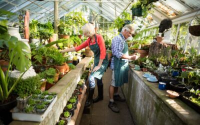Here’s How to Eat Organic on a Budget — Plus, How to Build Your Own Organic Greenhouse