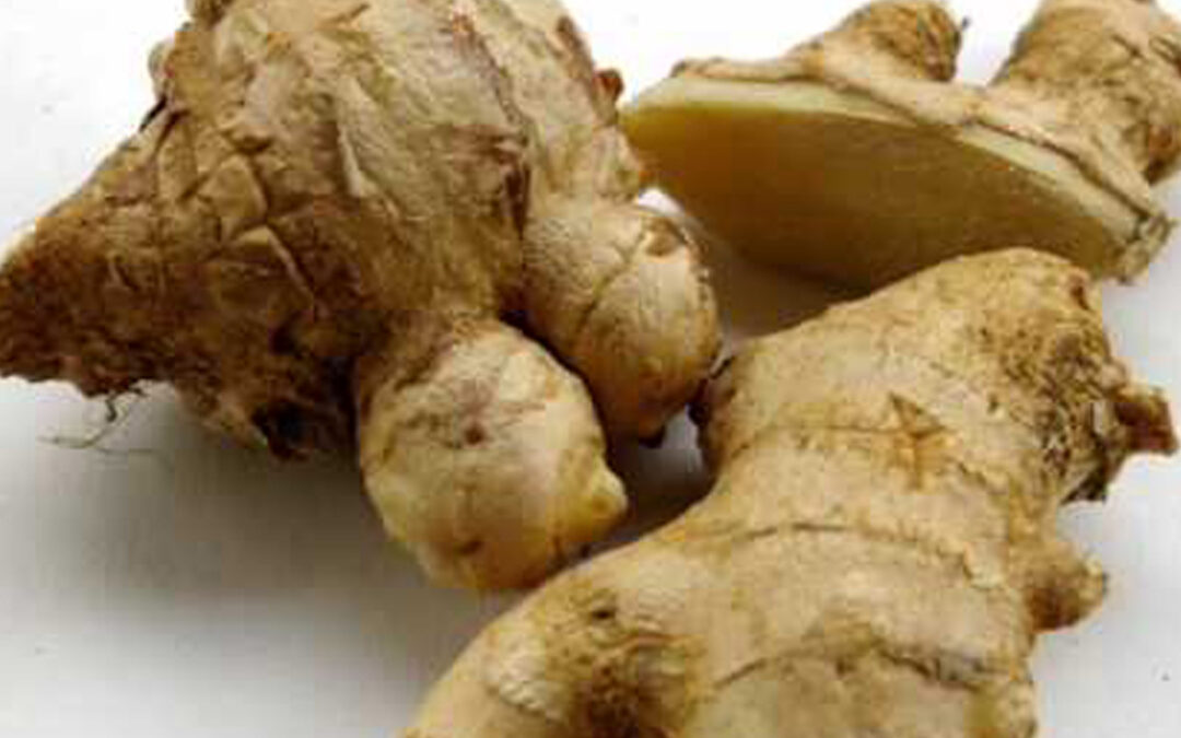 [VIDEO] Spice Up Your Bod with the Amazing Health Benefits of Ginger